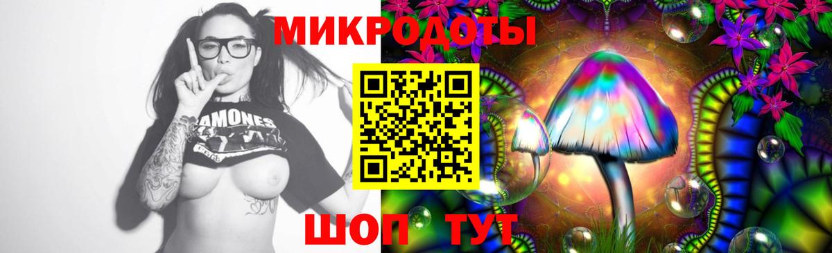 Галлюциногенные грибы Psilocybe  Вход с VPN  Уссурийск  Псилоцибиновые грибы прущие грибы 